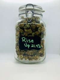 Rise Up Premium Hemp Flower - Beyond Full Spectrum