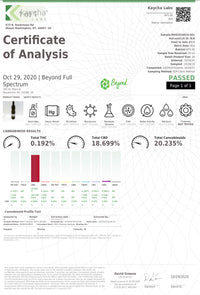 Beyond Full Spectrum CBD Oil Powered by Lifter - Blueberry